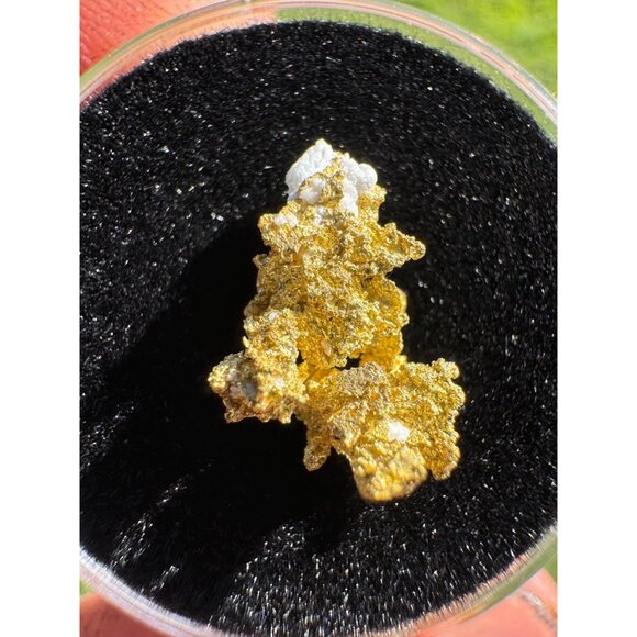 California Native Gold Crystal - 0.84 grams - Picture 5 of 5